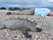 Lance and the Iguana