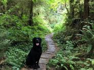 Hiking Partner