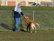 Dog Park