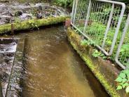 Little Quilcene River